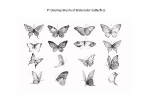 Photoshop Brush Watercolor Butterflies ABR