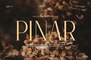 Pinar – Beauty Minimal Luxury Font
