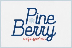 Pineberry – Cursive Script Typeface