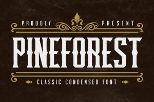 Pineforest – Classic Condensed Font