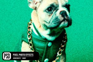 Pixel Photo Effects