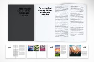 Plain Minimalist Layout Brochure