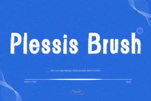 Plessis Brush Display Font