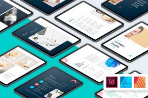 Portfolio Resume Light and Dark eBook