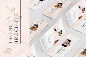 Portfolio Trifold Flyer