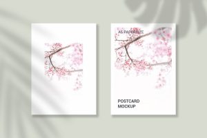 postcard mockup