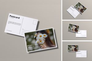 Postcard Mockup