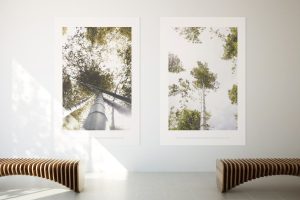 Poster Mockup