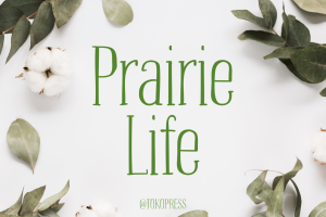 Prairie Life – Girly Font