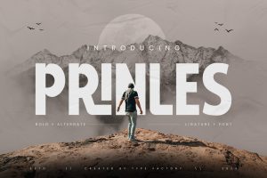 Prinles – Bold Font