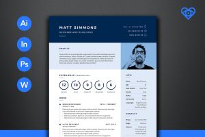 PRO Resume 2