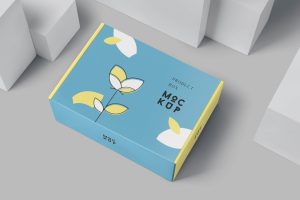 Product Box Mockups