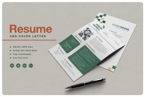 Professional Resume Template