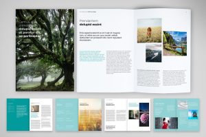 Proposal Report