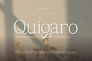 Quigaro Serif Elegant Font