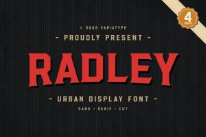 Radley – Urban Display