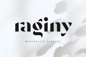 Raginy – Stencil Sans
