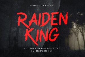 RAIDEN KING – Brush font