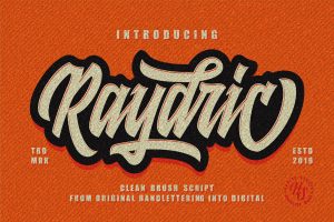 Raydric Script with Shadow outline