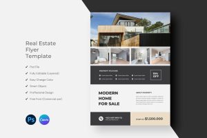 Real Estate Flyer Template Design