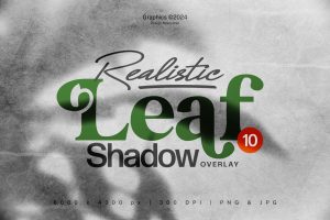 Realistic Leaf Shadow Overlay