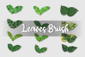 Realistic Leaves Brush for Illustrator