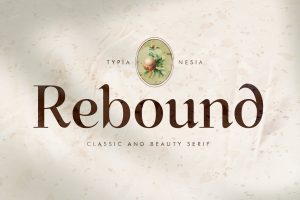 Rebound – Classic Beauty Serif – Vintage Font
