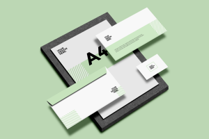 Resume & Envelope Mockup Design