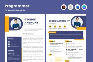 Resume Programmer V6