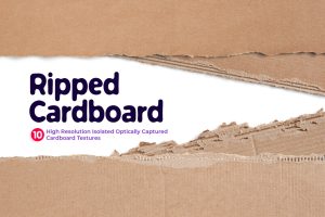 Ripped Cardboards