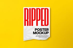 Ripped Paper Mockup