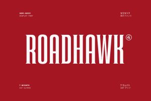 Roadhawk
