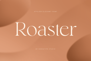 Roaster – Stylish Elegant Font