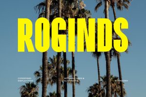 Roginds – Modern Bold Fonts