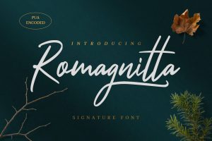 Romagnitta – Signature Font