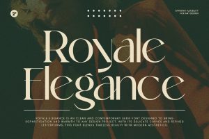 Royal Elegance – Modern Luxury Feminine Serif