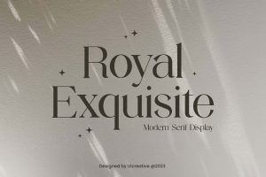 Royal Exquisite Modern Serif Display Font
