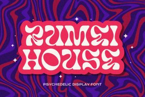 Rumei House –  Psychedelic Display Font