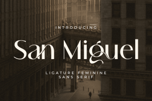 San Miguel – Ligature Feminine Sans Serif