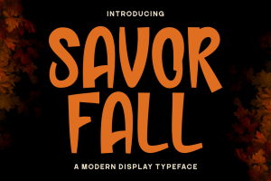 Savor Fall – Modern Display Typeface