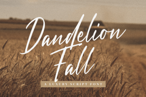 Script Font