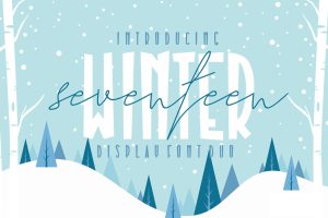Seventeen Winter – Font Duo