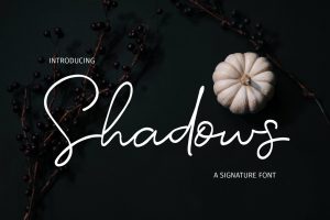 Shadows