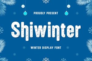 Shiwinter – Winter Display Font