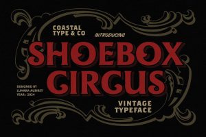 Shoebox Circus