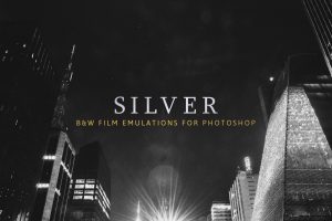 Silver – 28 Real B&W Film Emulations