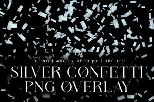 Silver Confetti Overlay