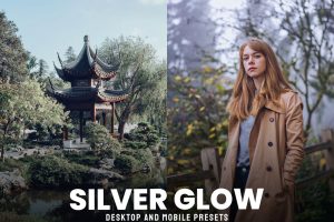 Silver Glow – Desktop and Mobile Presets