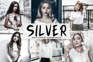 Silver Mobile & Desktop Lightroom Presets