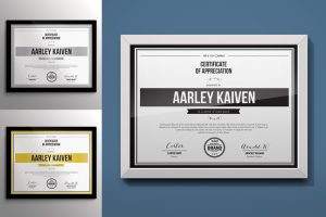 Simple Multipurpose Certificates